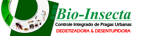 bio-insecta5